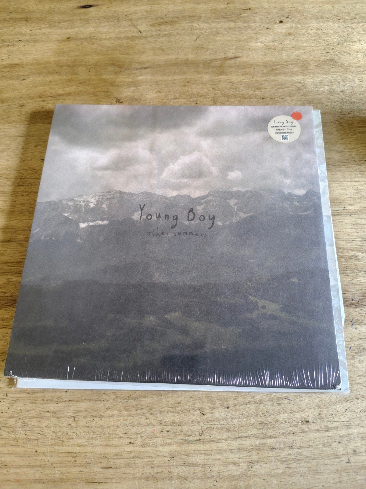 Indie rock YOUNG BOY : OTHER SUMMERS, Cd's en Dvd's, Ophalen of Verzenden, Nieuw in verpakking, 12 inch, Indie Rock
