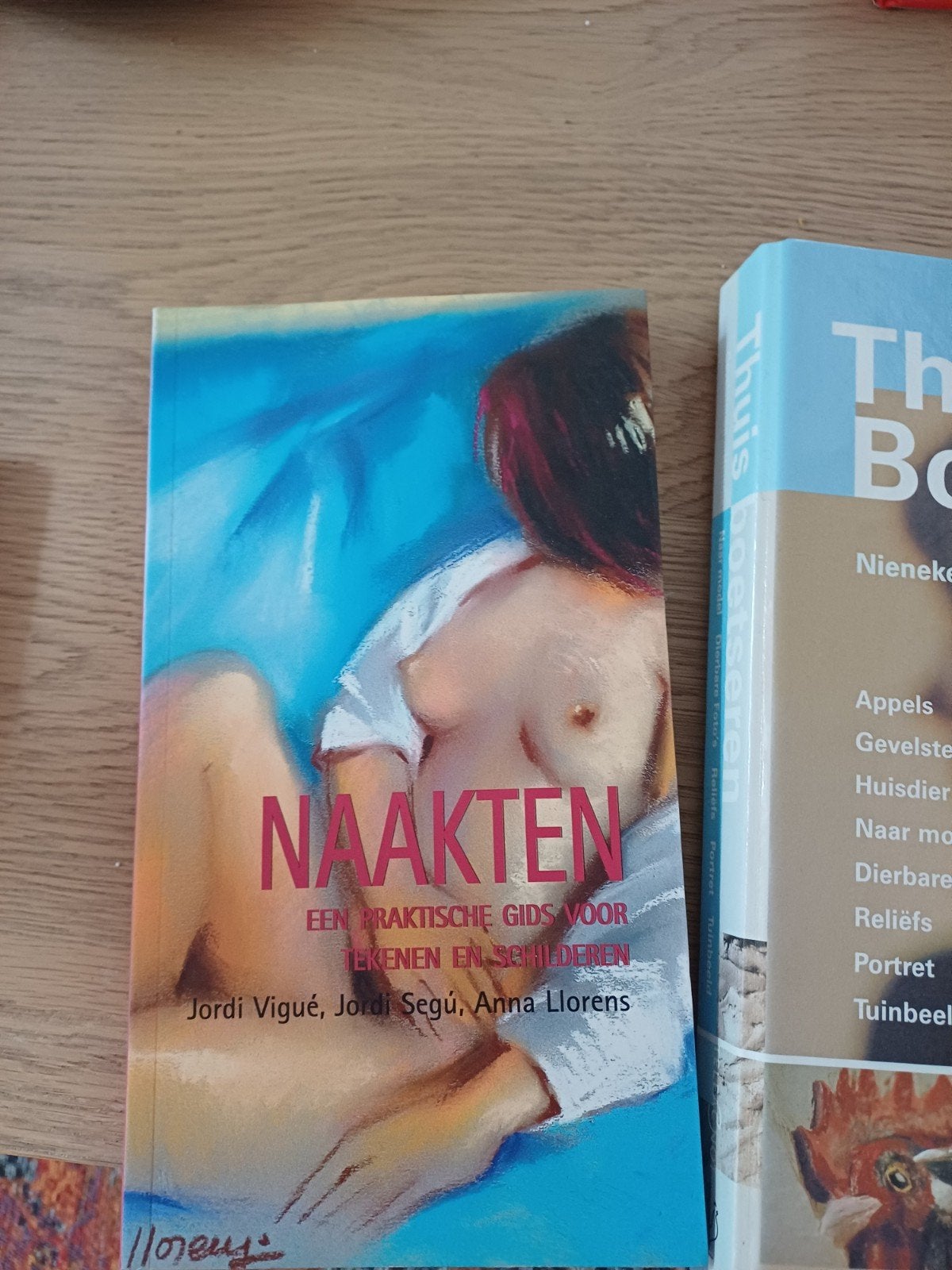 Diverse mooie kunstboeken: Dali, Art Nouveau, Gaudi, Picasso, Boeken, Ophalen of Verzenden, Gelezen, Schilder- en Tekenkunst, Diverse auteurs (o.a. Robert Descharnes, Klaus-Jürgen Sembach)