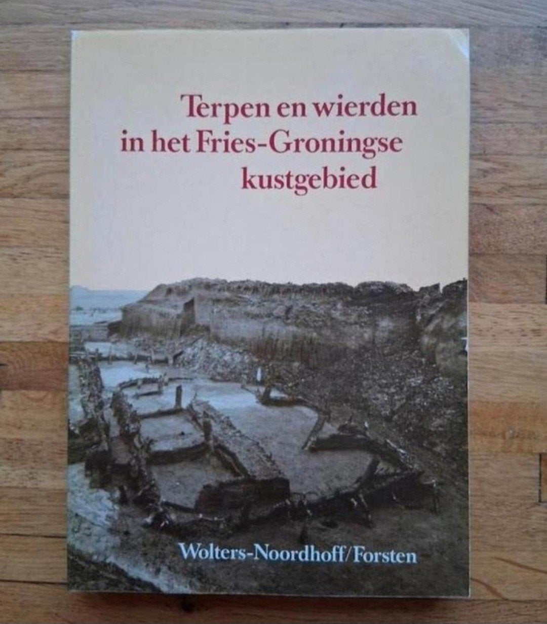 Terpen en wierden
in het fries Groningse kustgebied

Archeol, Ophalen of Verzenden, Zo goed als nieuw