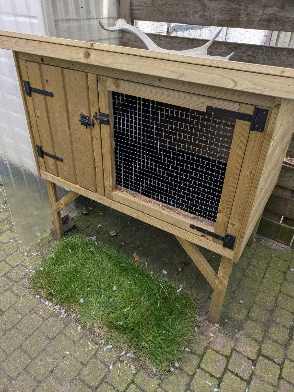 supergroot konijnen hok, Ophalen of Verzenden, 90 cm of meer, Konijn, Hok