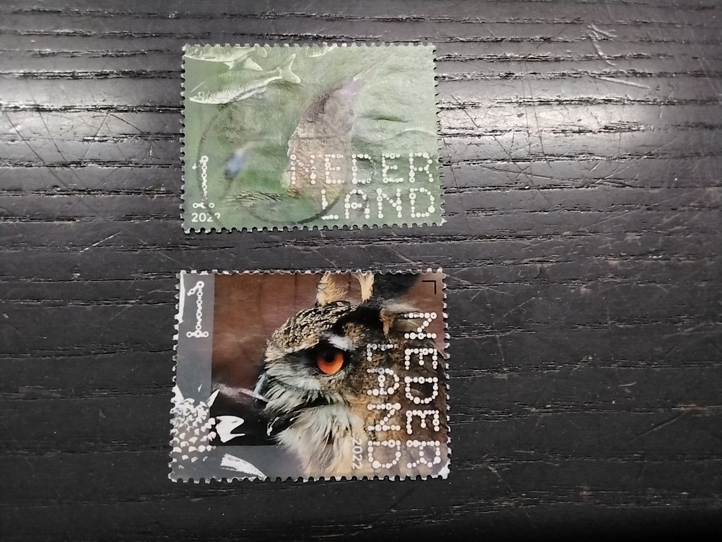 26126 Nederland persoonlijkheids zegels natuur vogels 2022, Ophalen of Verzenden, Gestempeld, Dier of Natuur