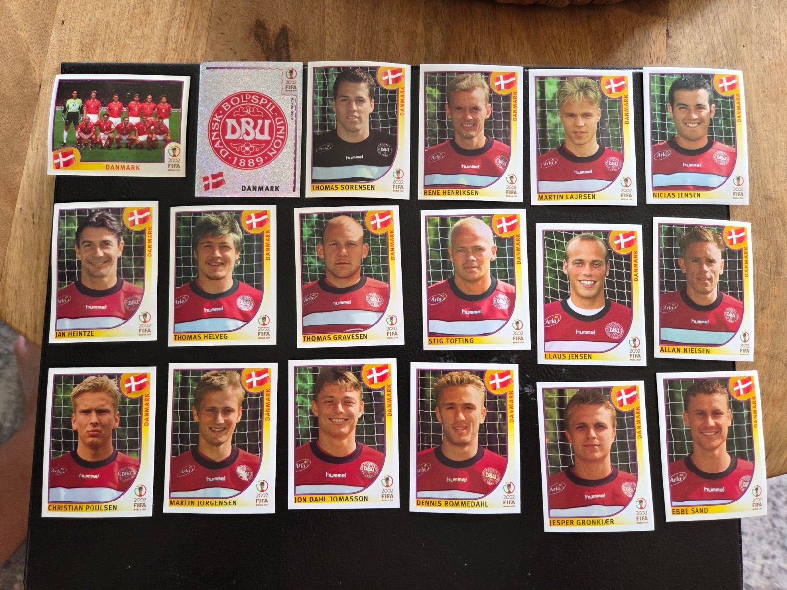 Panini WK 2002 Denemarken, Hobby en Vrije tijd, Stickers en Plaatjes, Ophalen of Verzenden, Zo goed als nieuw, Sticker