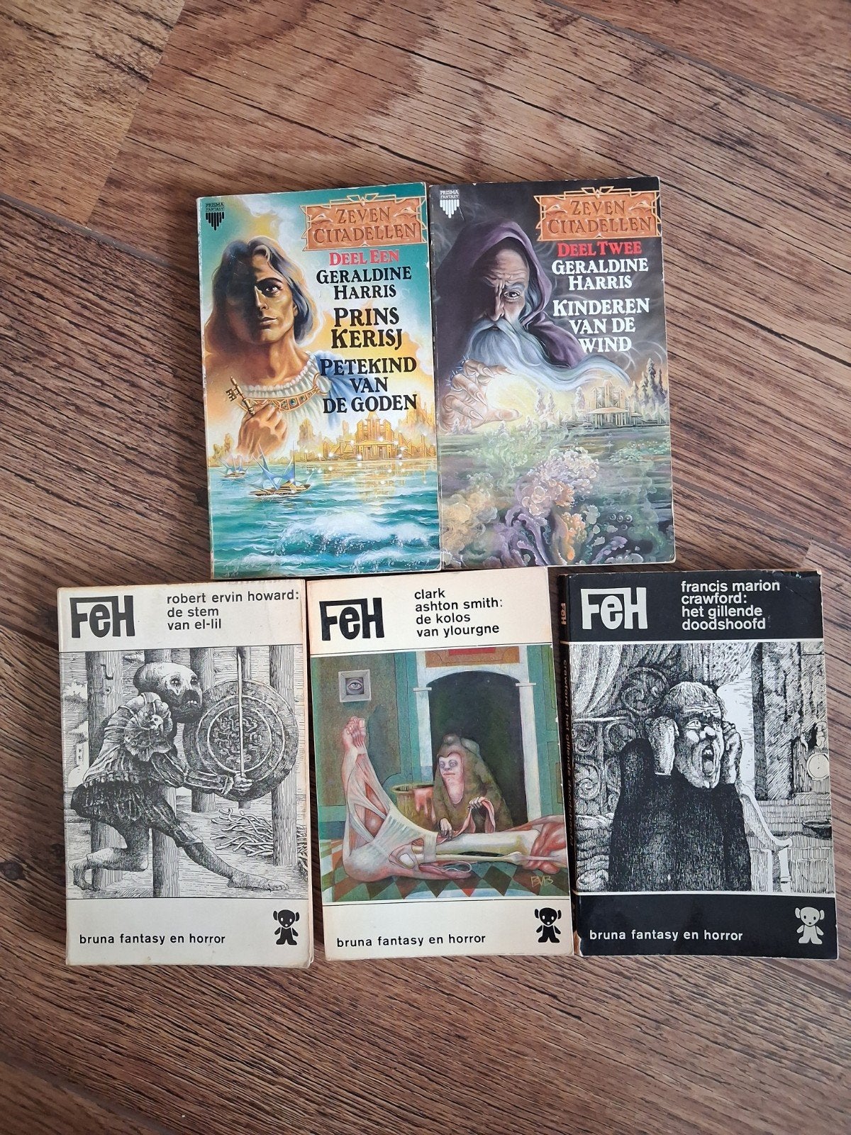 Fantasy en horror pockets, Ophalen of Verzenden, Gelezen, Diverse auteurs