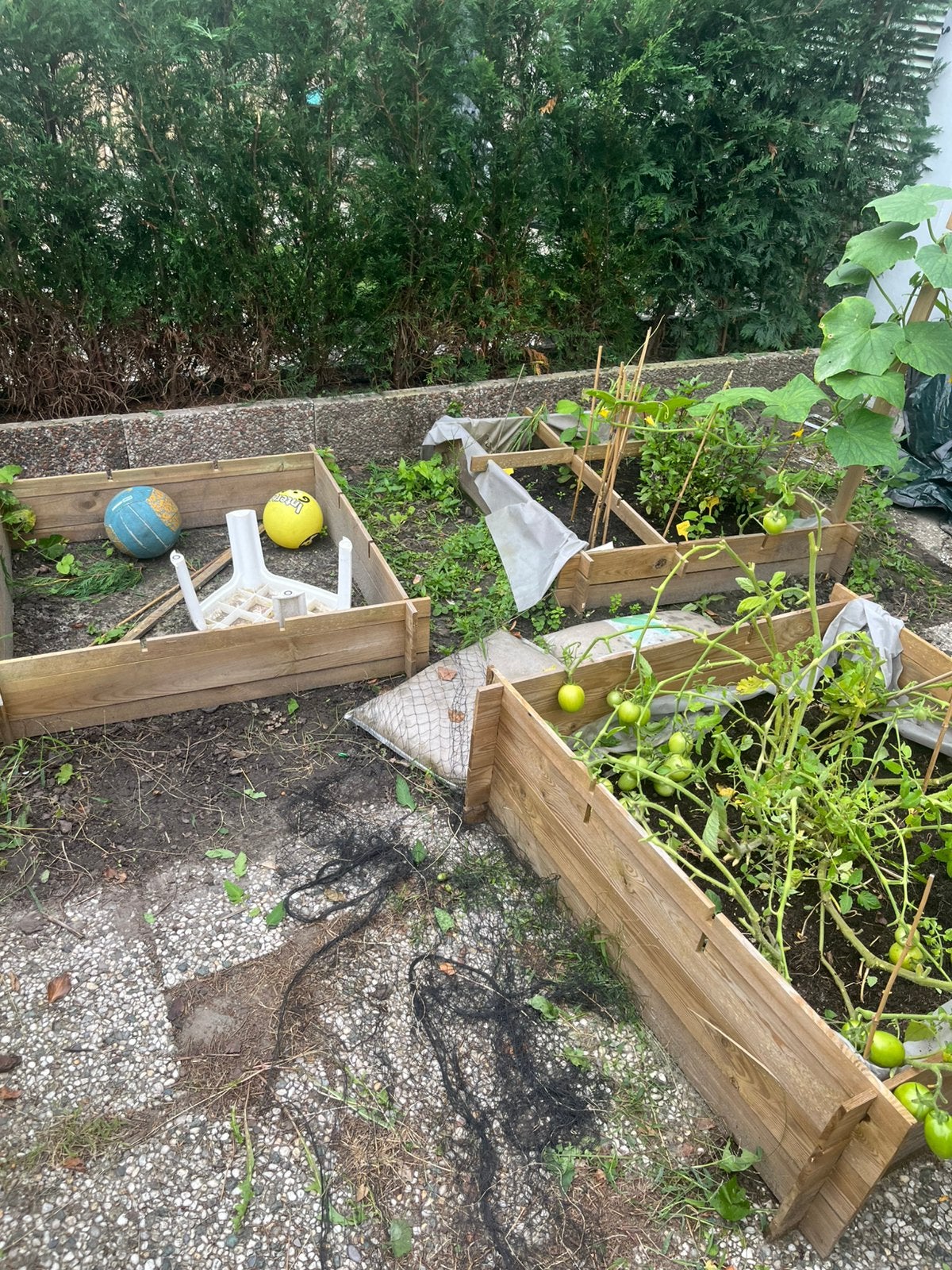 1 houten moestuinbak, Ophalen, Zo goed als nieuw, Rechthoekig, Hout