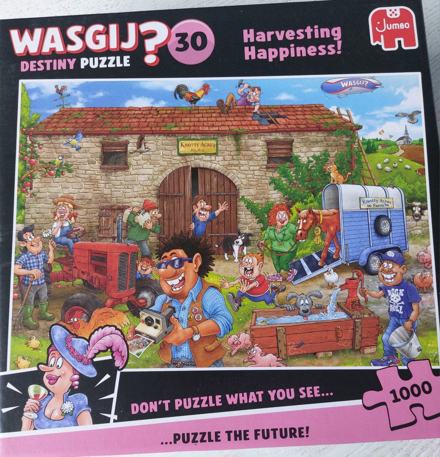 Wasgij puzzels, Ophalen, 500 t/m 1500 stukjes, Zo goed als nieuw