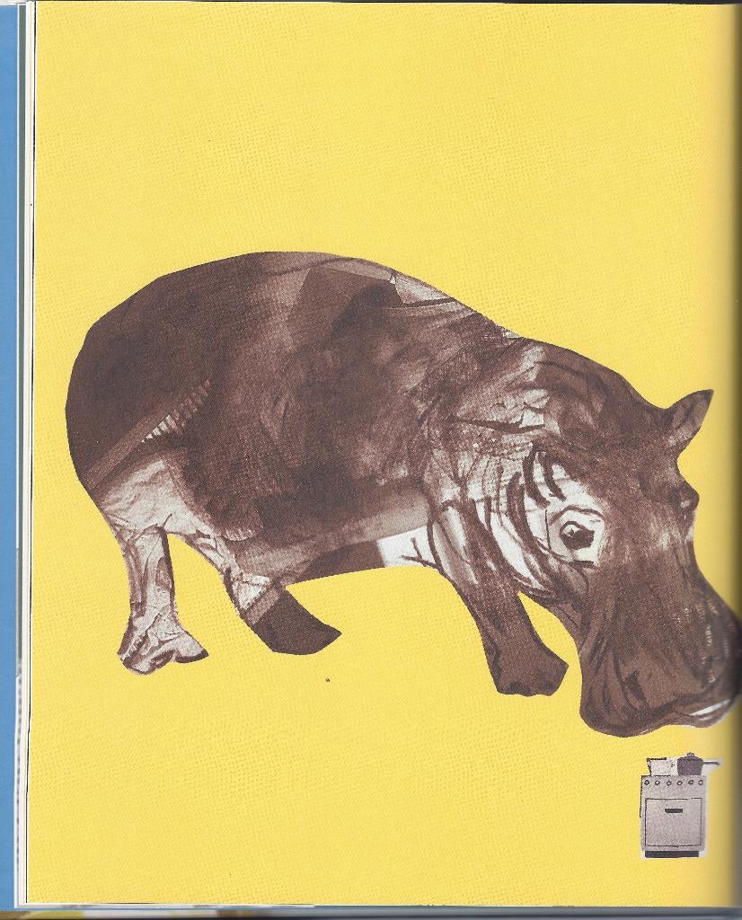HOND KIJKT- F.Sinninghe *Filosofische Dierenversjes* KADOTIP, Boeken, Famke Sinninghe-Damsté:, Nieuw, Ophalen of Verzenden, Eén auteur
