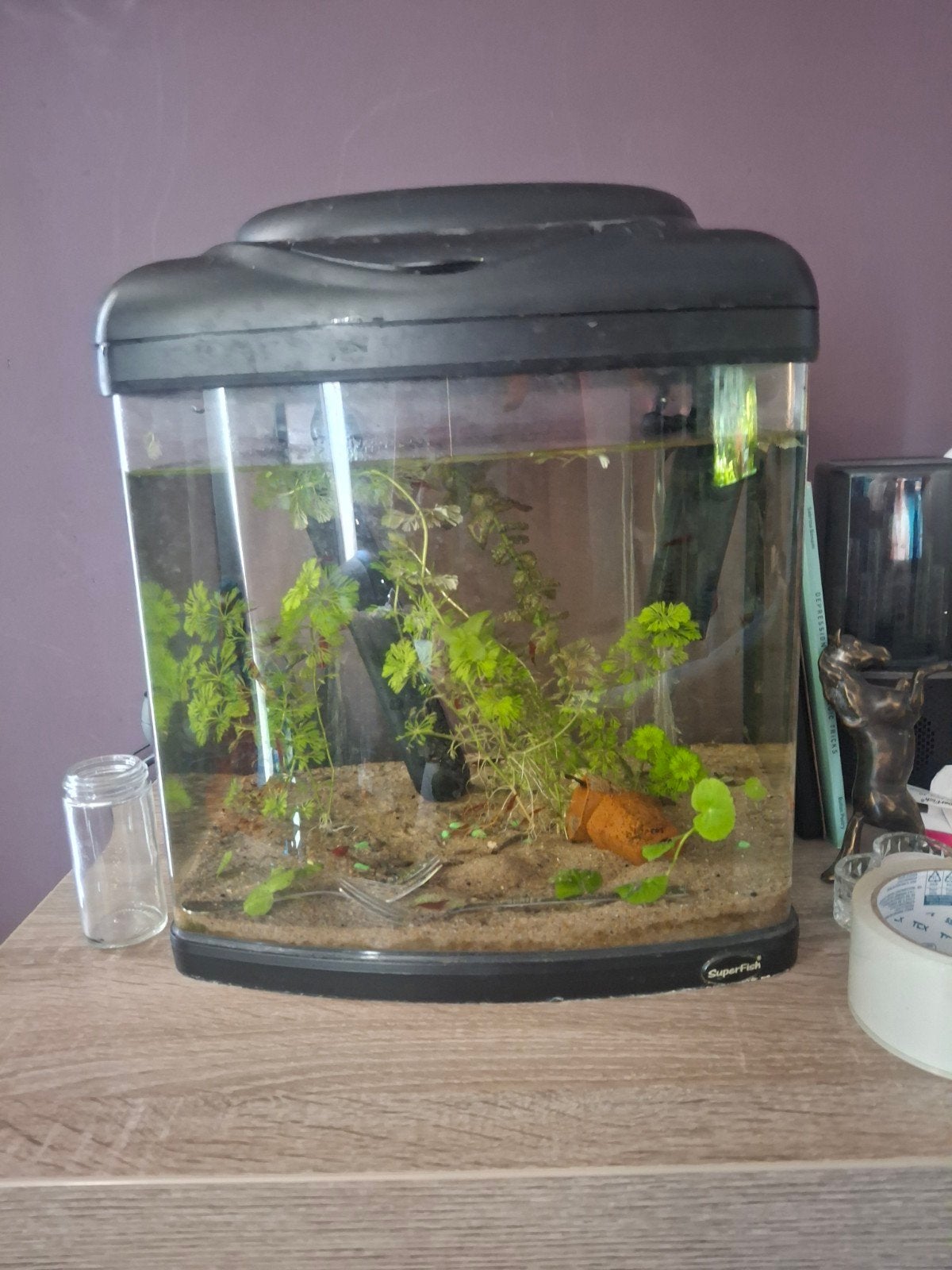 Superfish beginners aquarium, Gebruikt, Ophalen of Verzenden, Leeg aquarium, Inclusief vissen