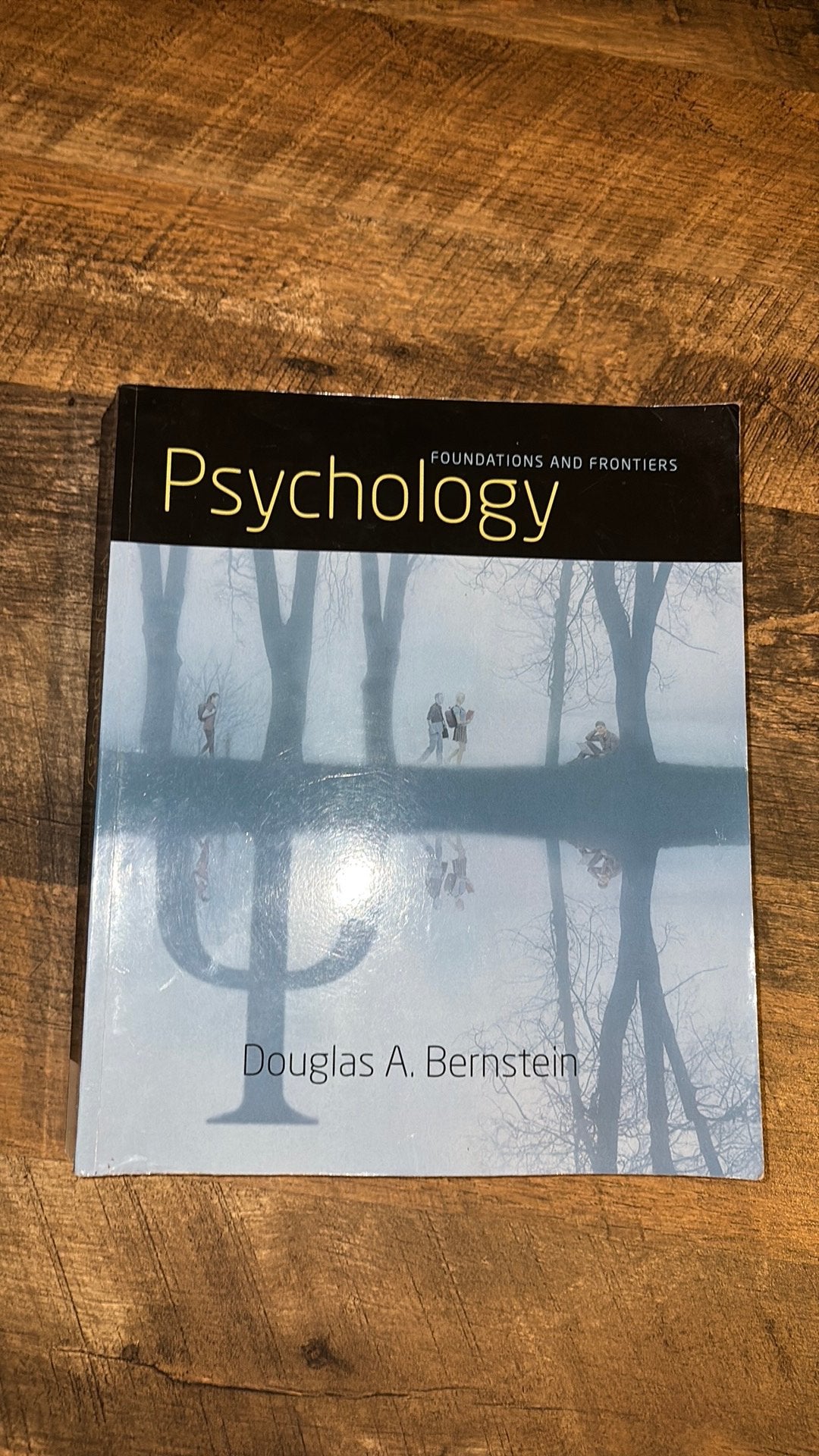 Psychology - Foundations and Frontiers, Boeken, Ophalen of Verzenden, Alpha, Gelezen, WO