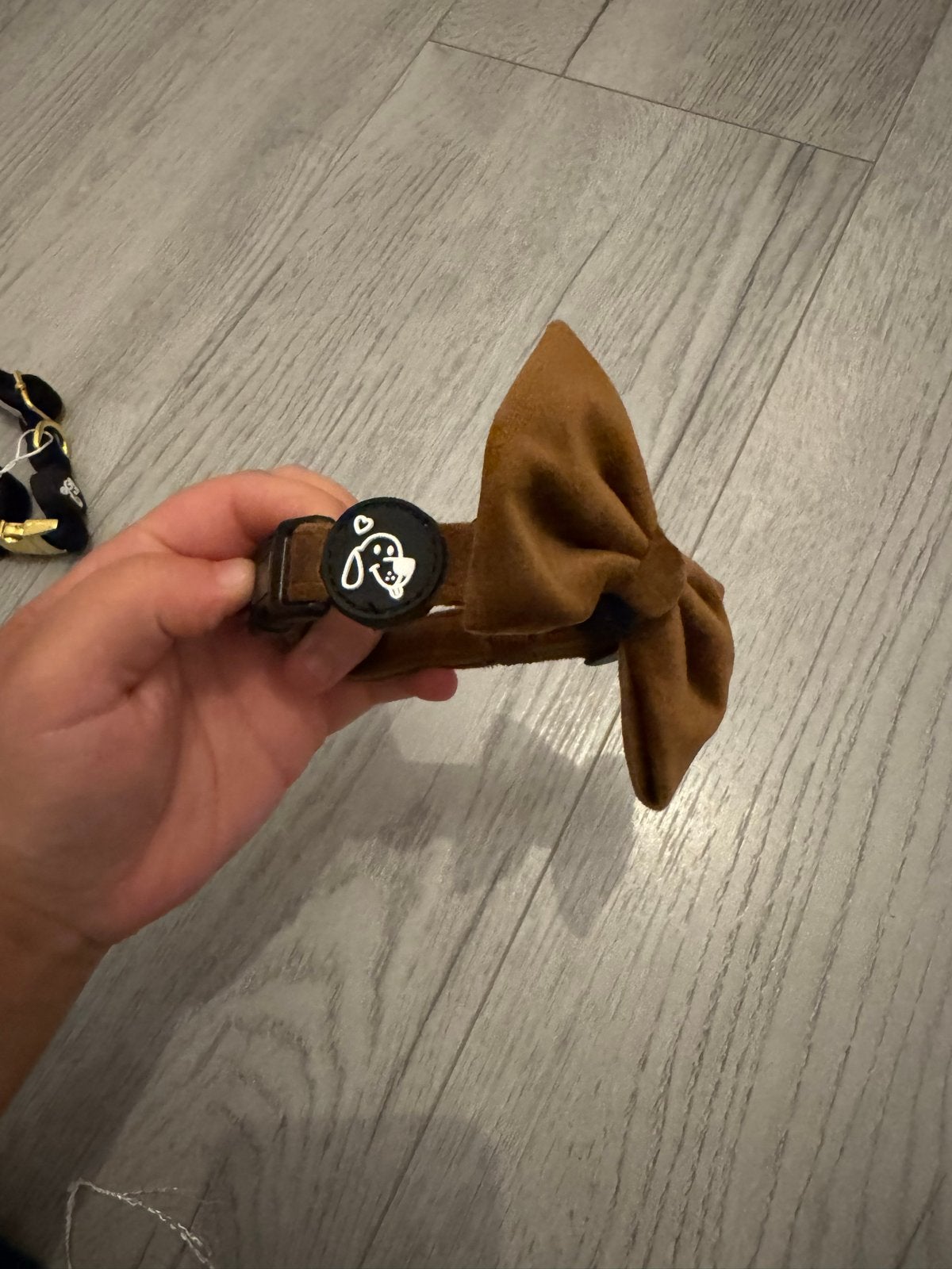Honden Halsband met strik, Ophalen of Verzenden, Nieuw