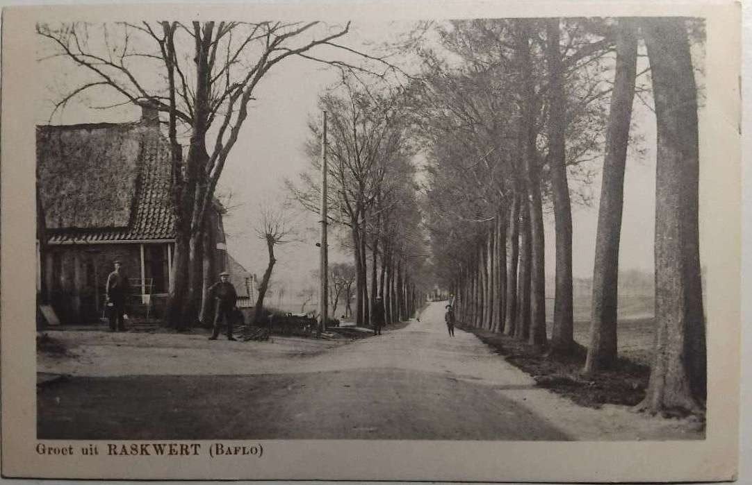 Raskwert (Baflo) 1905/1910 | Groningen, Ophalen of Verzenden, Voor 1920, Gelopen, Groningen