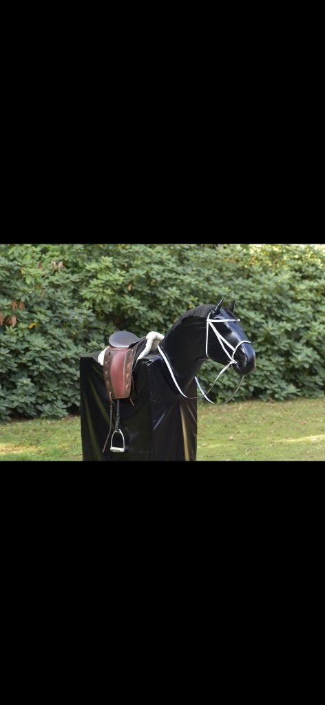 Gezocht: Joker, het mechanische paard, Dieren en Toebehoren, Ophalen, Dressuur