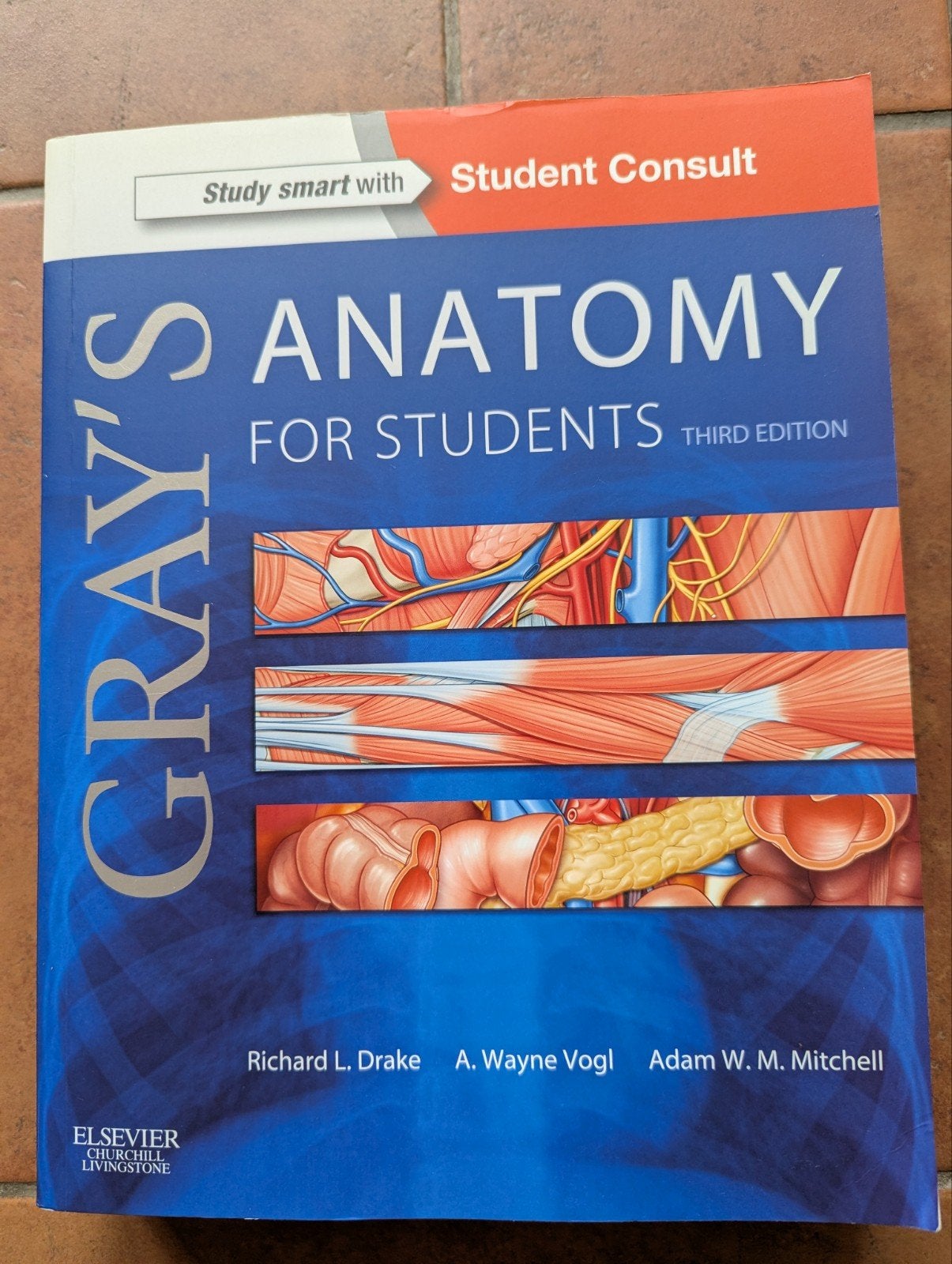 Gray's Anatomy for Students - Derde Editie, Boeken, Richard L. Drake, A. Wayne Vogl, Adam W. M. Mitchell, Ophalen of Verzenden