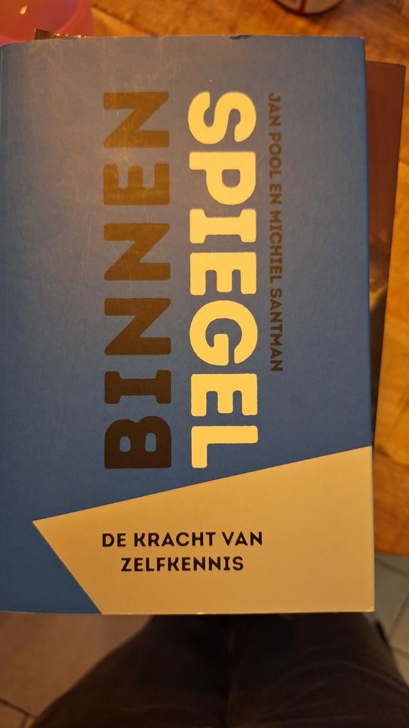 Jan Pool - Binnenspiegel, Boeken, Ophalen of Verzenden, Zo goed als nieuw, Jan Pool; Michiel Santman