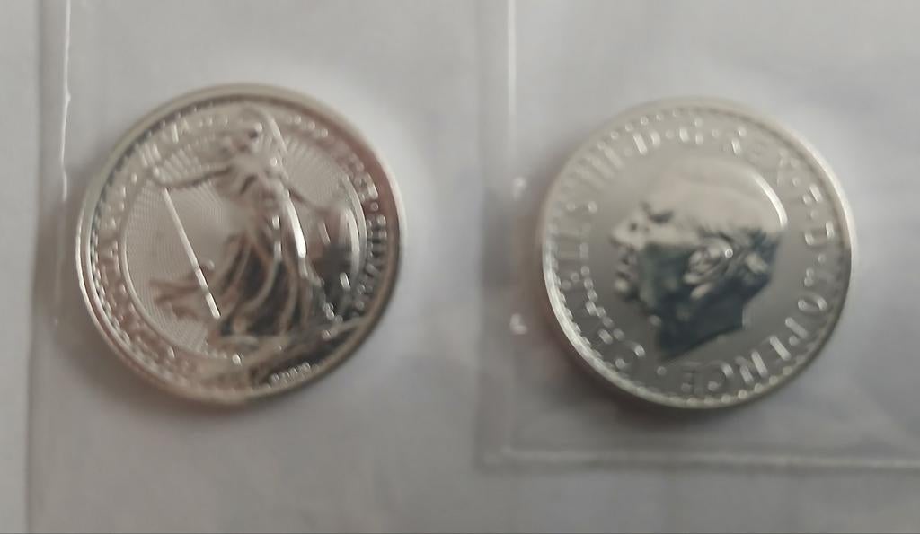 Britannia 1/4 Oz Zilver, Ophalen of Verzenden, Zilver