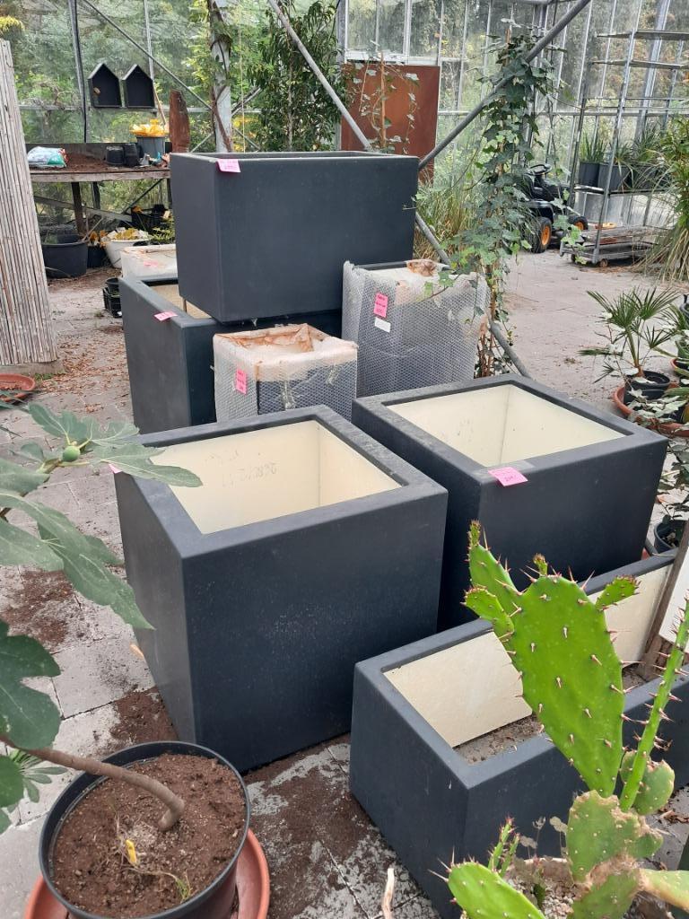 Adezz plantenbakken opruiming, Ophalen, Kunststof, Nieuw, 60 tot 100 cm