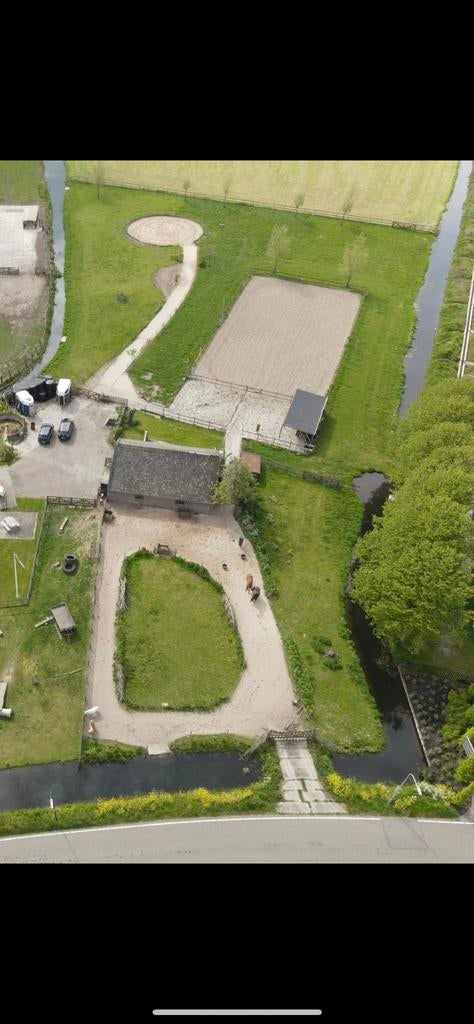 Paardenplek vrij voor merrie tussen Woerden en Nieuwerbrug, Weidegang, 1 paard of pony