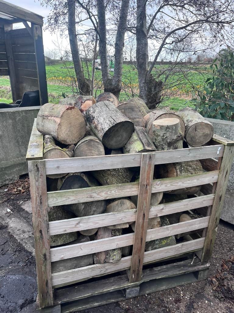 kuub blokken essenhout stammen openhaardhout, Ophalen of Verzenden