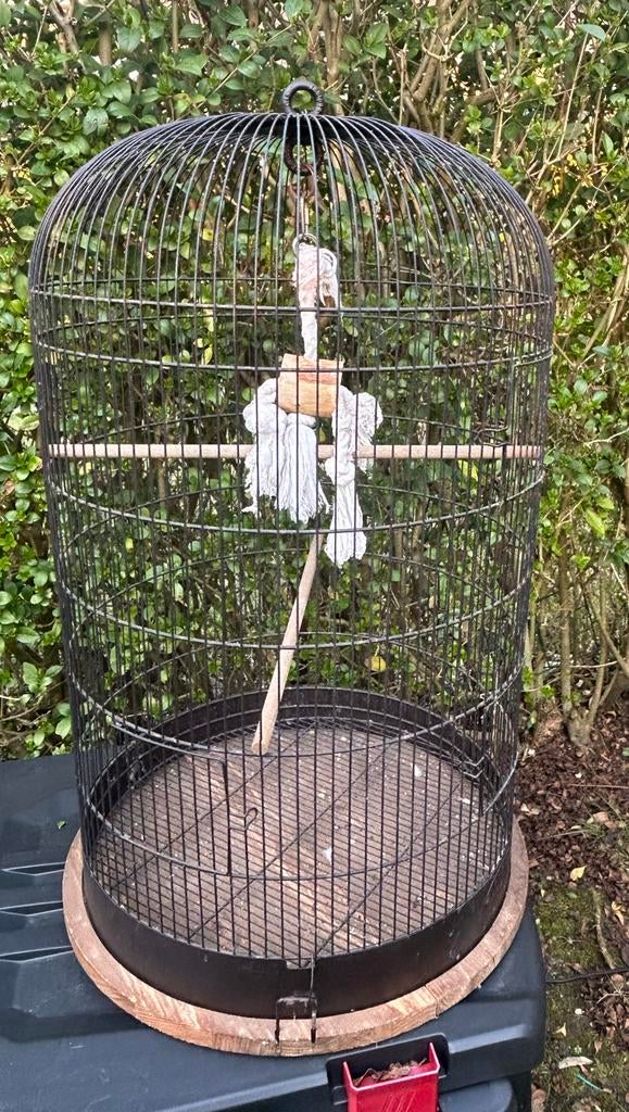 Zwarte vogelkooi, Ophalen, Zo goed als nieuw, Metaal, Vogelkooi
