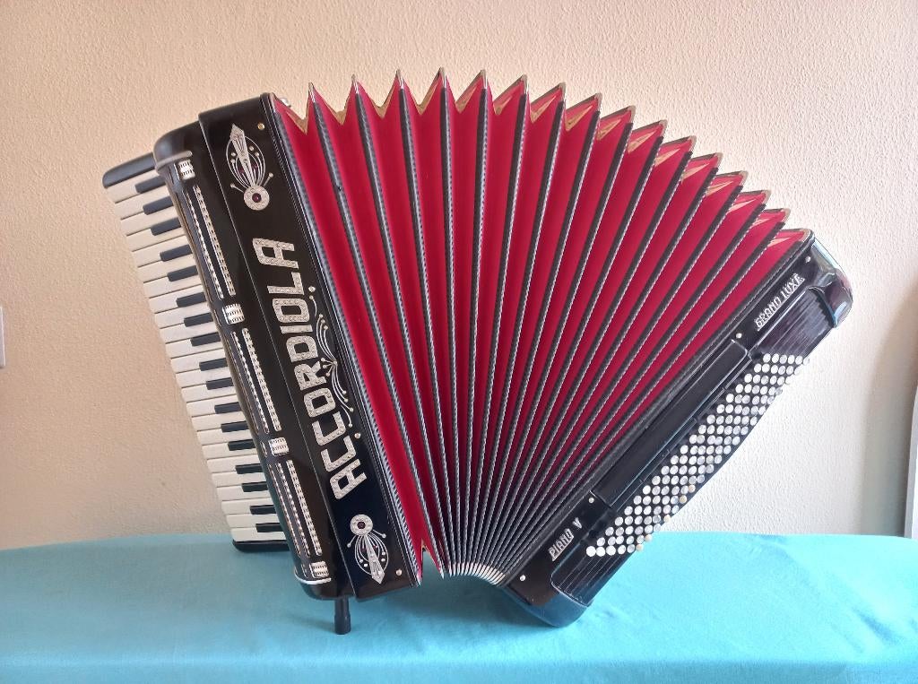 Accordiola Piano V 120 bas 5 korig, Ophalen, Gebruikt, Met koffer, Accordiola