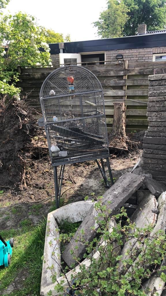 Vogelkooi  rijdbaar en gratis, Meerdere dieren, Parkiet, Pratend