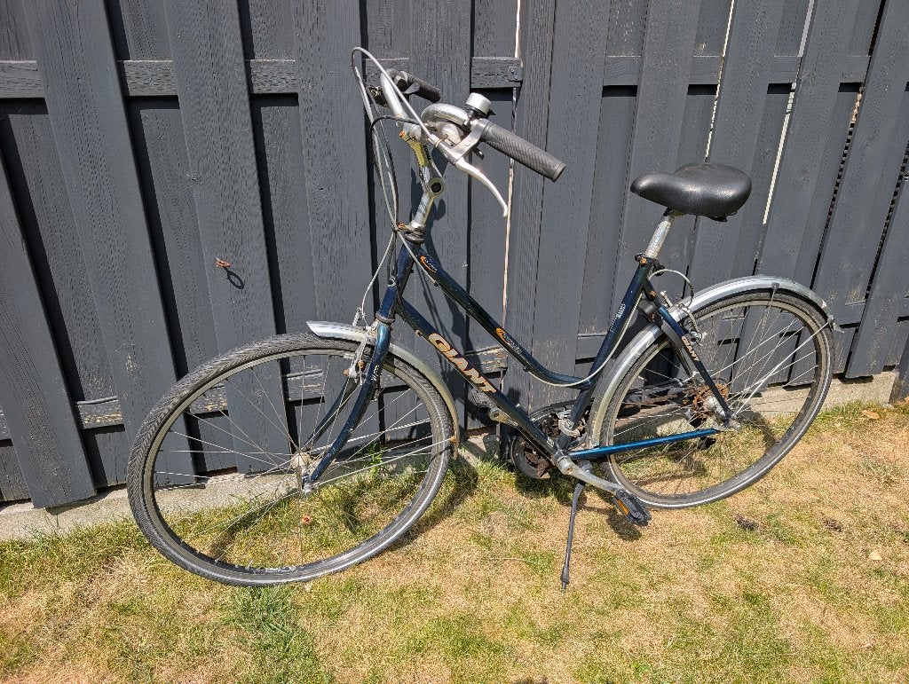 Giant Tourer 54cm Groen, Ophalen, Velgrem, Versnellingen, Giant