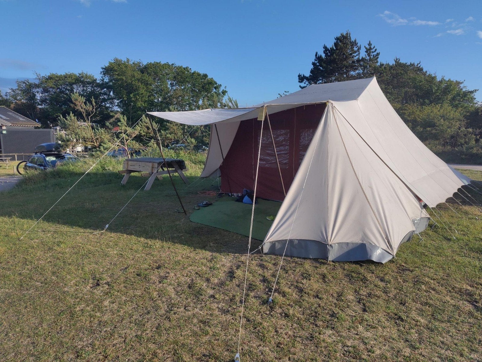 De Waard vergrote zilvermeeuw met complete set accessoires, Ophalen, Gebruikt, Tot en met 6