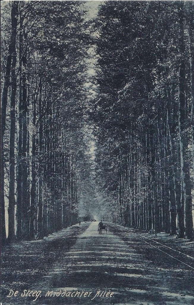 De steeg middachter allee oude ansichtkaart 8150 ongelopen, Ophalen of Verzenden, 1920 tot 1940, Ongelopen, Gelderland
