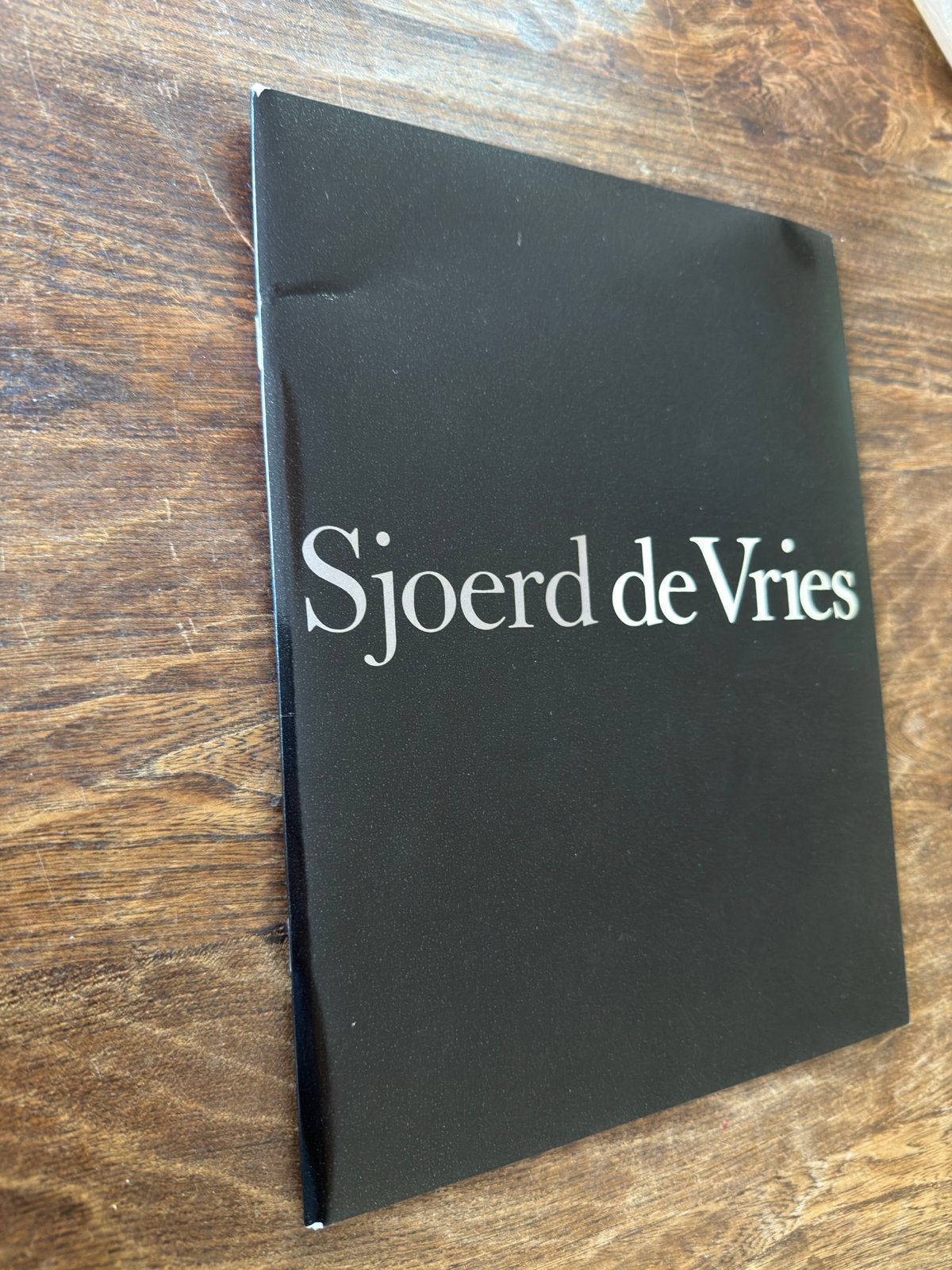Sjoerd de Vries – Kunstboek / Galeriecatalogus, Ophalen, Zo goed als nieuw, Overige onderwerpen