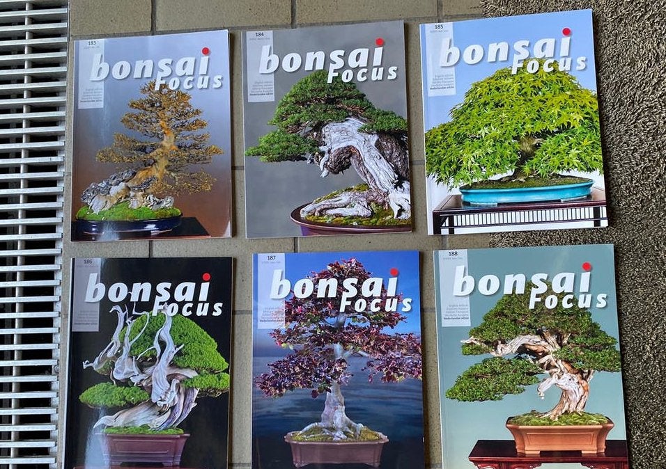 Bonsai FOCUS losse nummers en jaargangen t/m 2025, Boeken, Ophalen of Verzenden, Gelezen, Overige onderwerpen