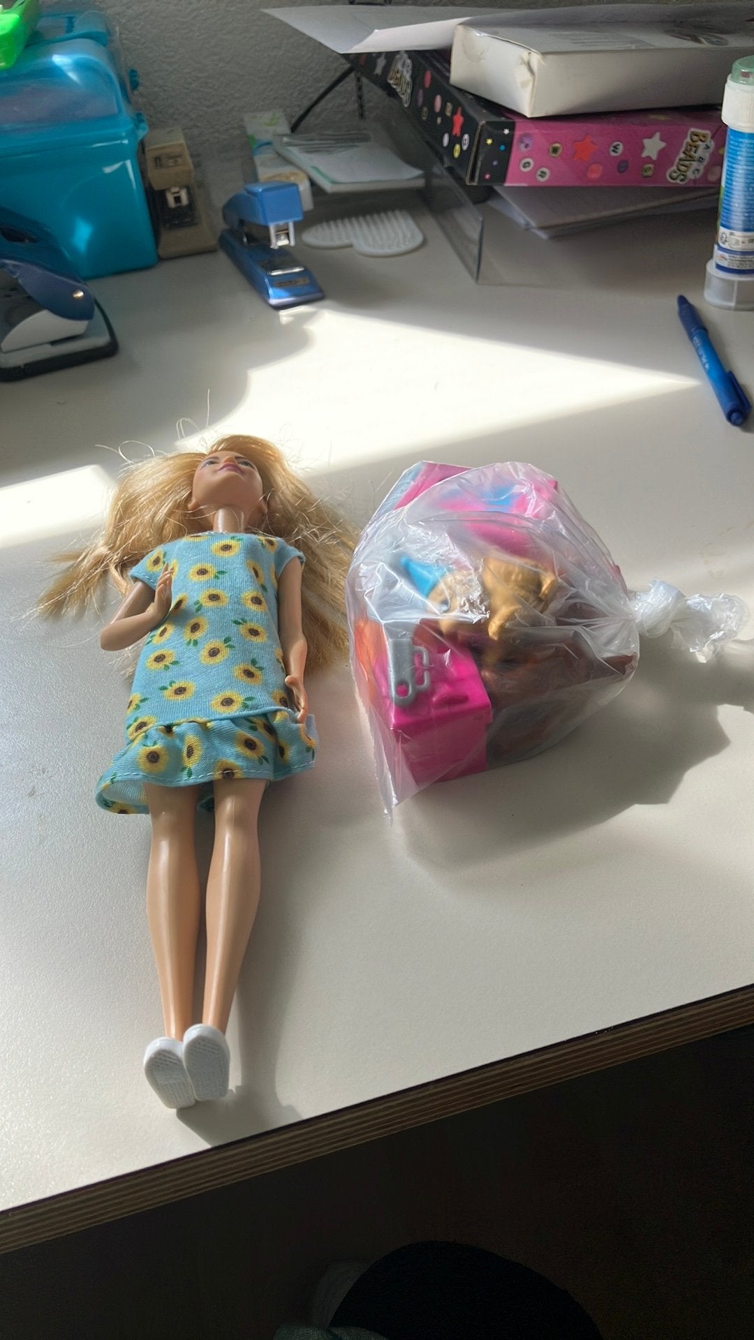 Barbie met diverse honden accessoires, Ophalen of Verzenden, Gebruikt, Barbie