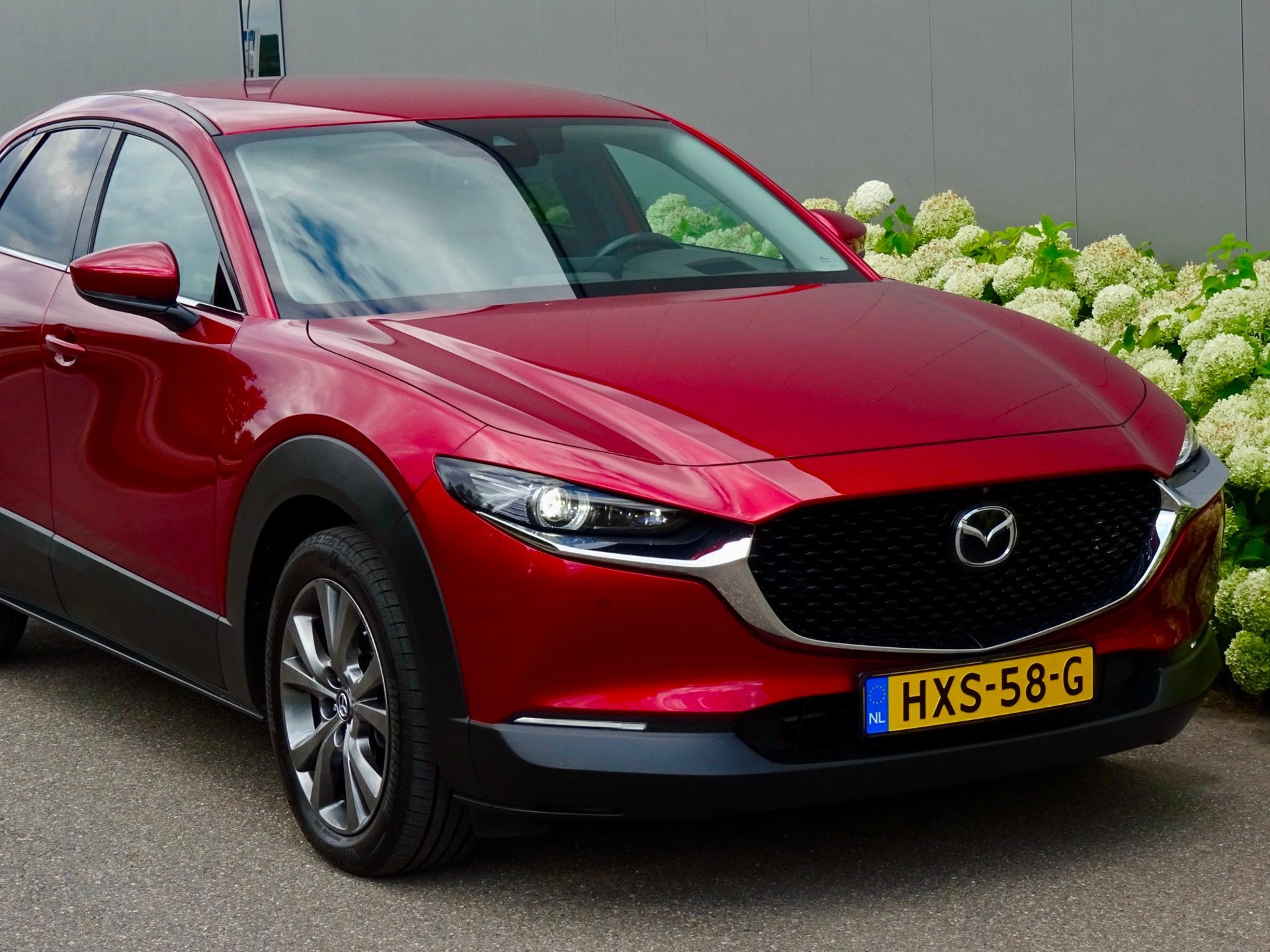 Foto 4 van Mazda CX-30 2.0 AWD e-SkyActiv-X M Hybrid Luxury | 4WD |