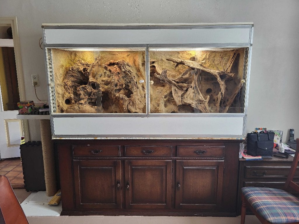 terrarium woestijnterrarium, Ophalen, Zo goed als nieuw, Terrarium of Paludarium