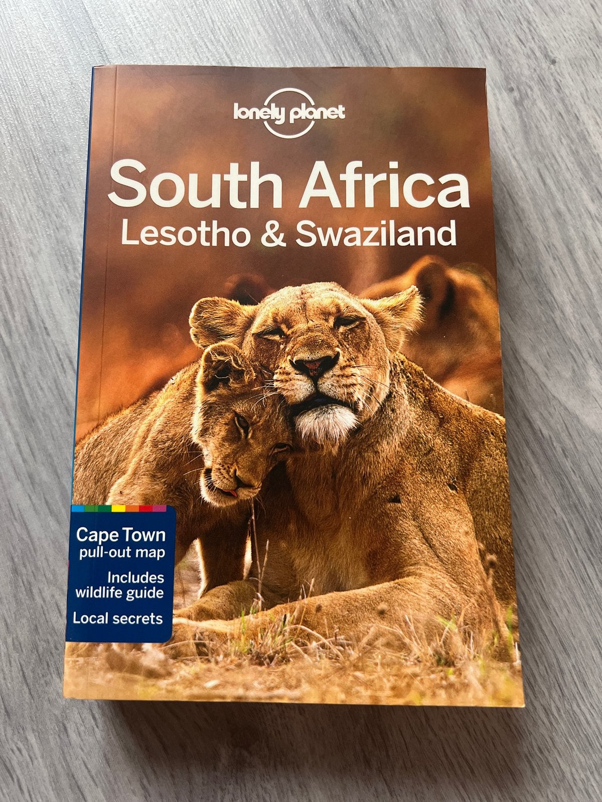 Zuid-Afrika, Lesotho & Swaziland Lonely Planet, Boeken, Reisgidsen, Gelezen, Afrika, Lonely Planet, Ophalen of Verzenden