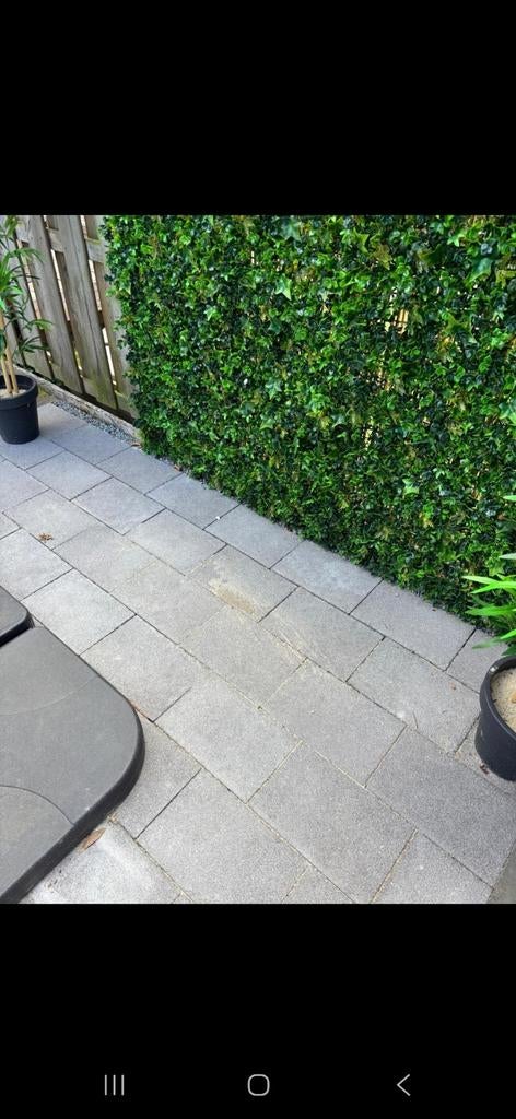 Nieuwe terrastegels 30x20 cm  €1 per stuk, Tuin en Terras, Tegels en Klinkers, Ophalen, Nieuw, Beton, Terrastegels
