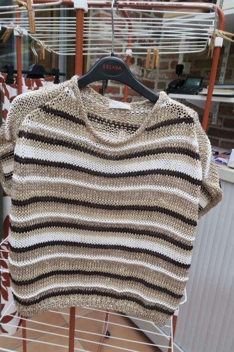 Oversized pulleke beige tinten Antonelli mt 40-42, Kleding | Dames, Maat 38/40 (M), Bruin, Nieuw, Ophalen of Verzenden