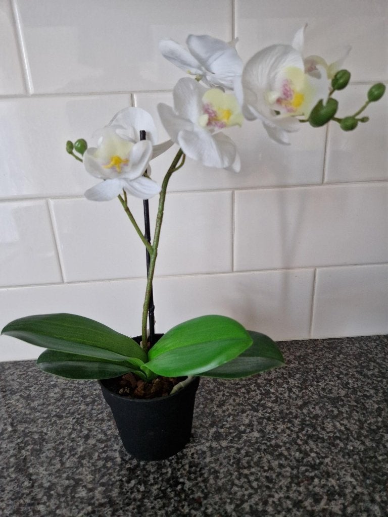 Ikea kunstplant, orchidee Fejka, Ophalen, Kunstbloem, 28 cm, Wit