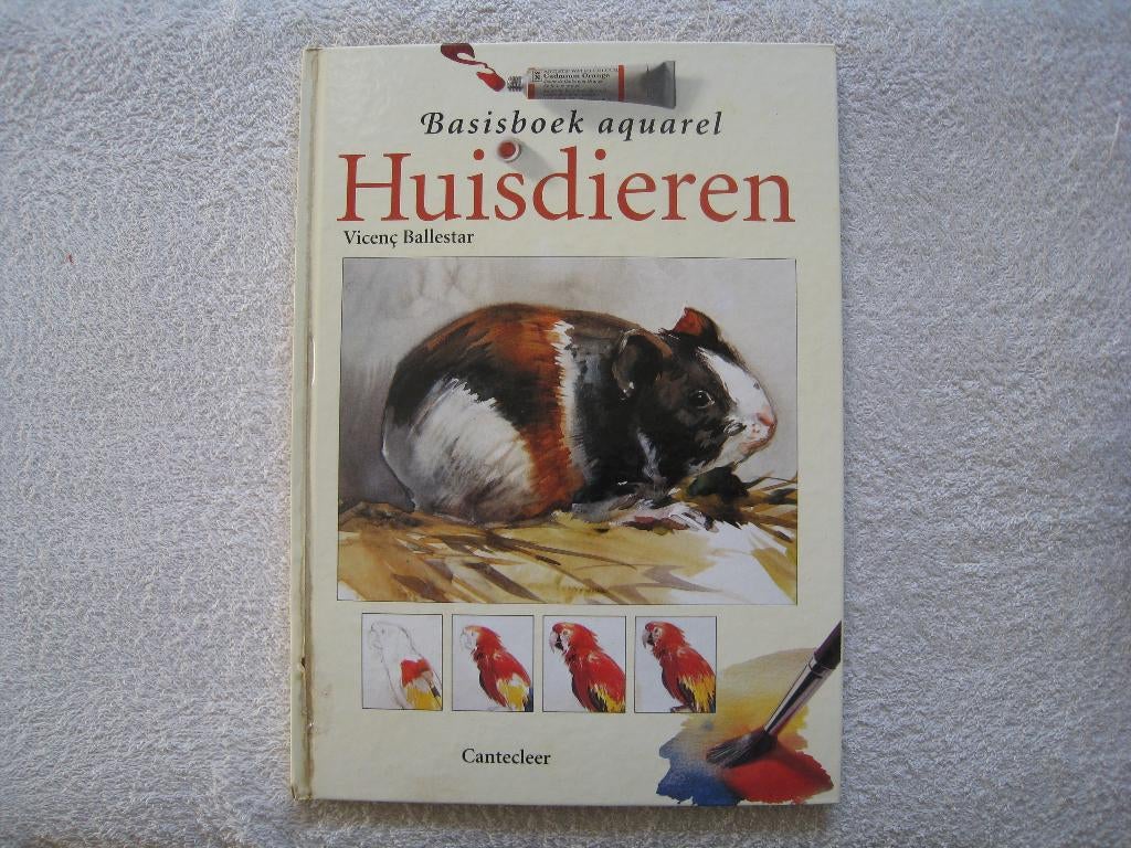 Basisboek aquarel huisdieren maken, Ophalen of Verzenden, Gelezen, Tekenen en Schilderen, Vicenç Ballestar