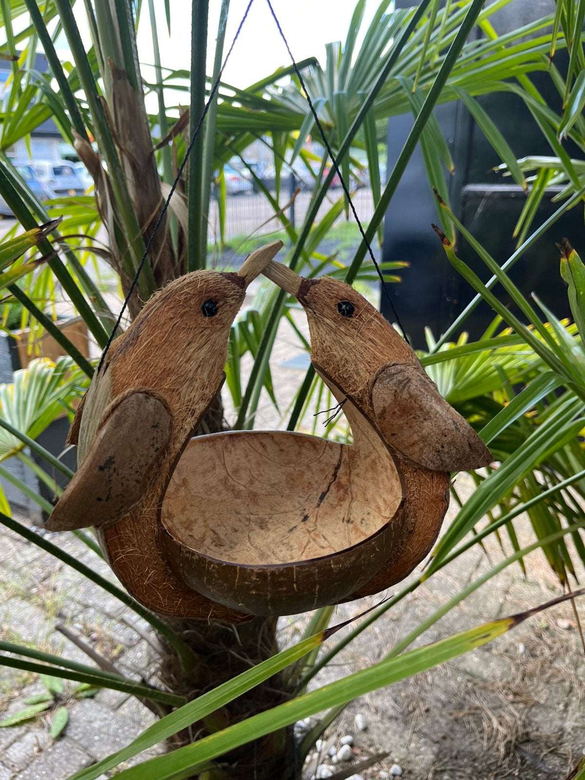 Kokosnoot Vogelvoederhuisje - Liefdesvogels, Ophalen of Verzenden, Nieuw