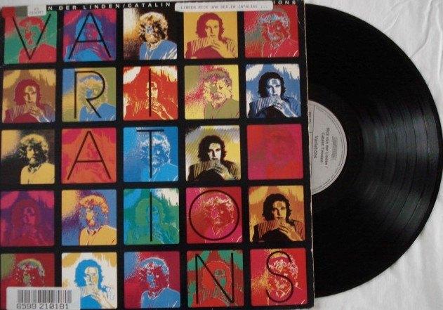 Rick van der Linden / Catalin Tircolea - Variations, Ophalen of Verzenden, Gebruikt, 12 inch