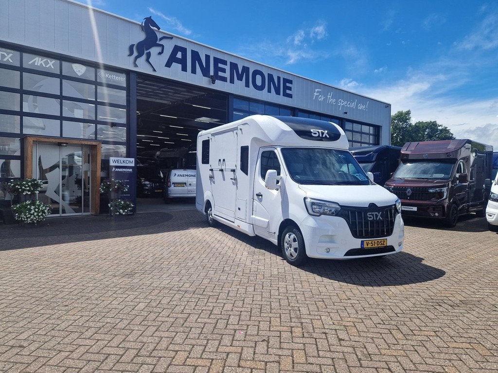 Renault Master Occasion paardenwagen STX voor 2 paarden auto, Dieren en Toebehoren, Paarden en Pony's | Trailers en Aanhangwagens