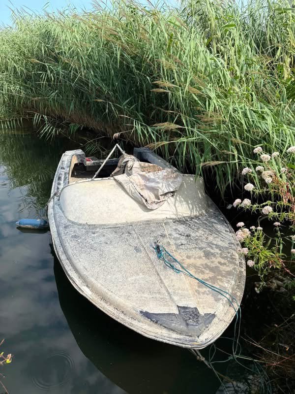 Polyester boot met motor, Watersport en Boten, Motorboten en Motorjachten, Overige merken, Gebruikt, Buitenboordmotor, 5 m