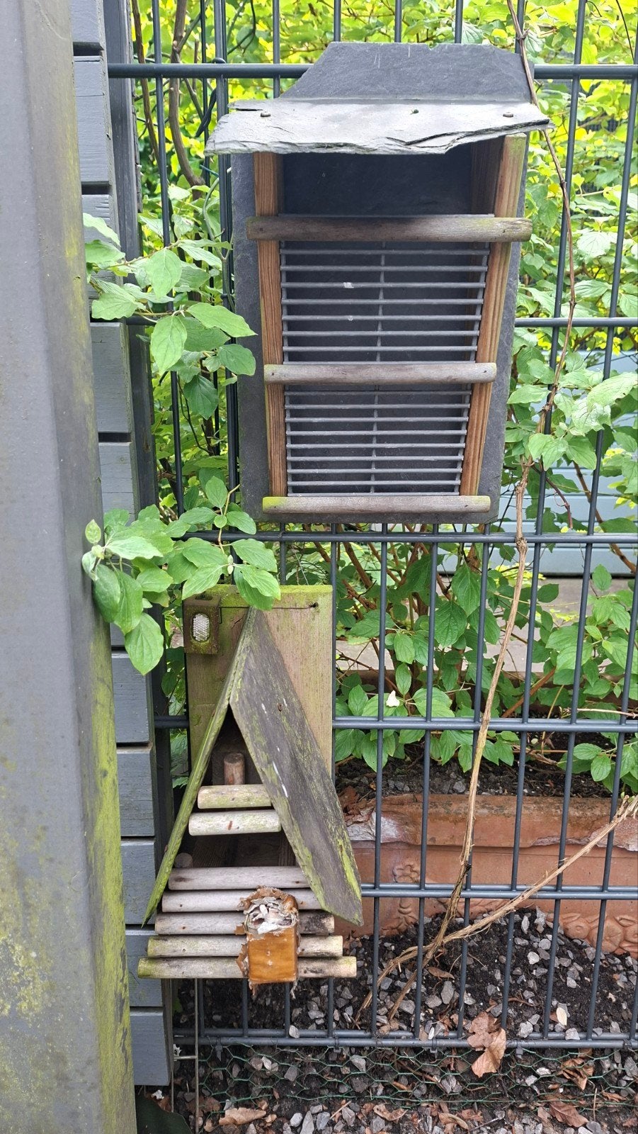 5 vogelhuisjes (3 nestkastjes, 2 voederhuisjes), Ophalen of Verzenden, Gebruikt