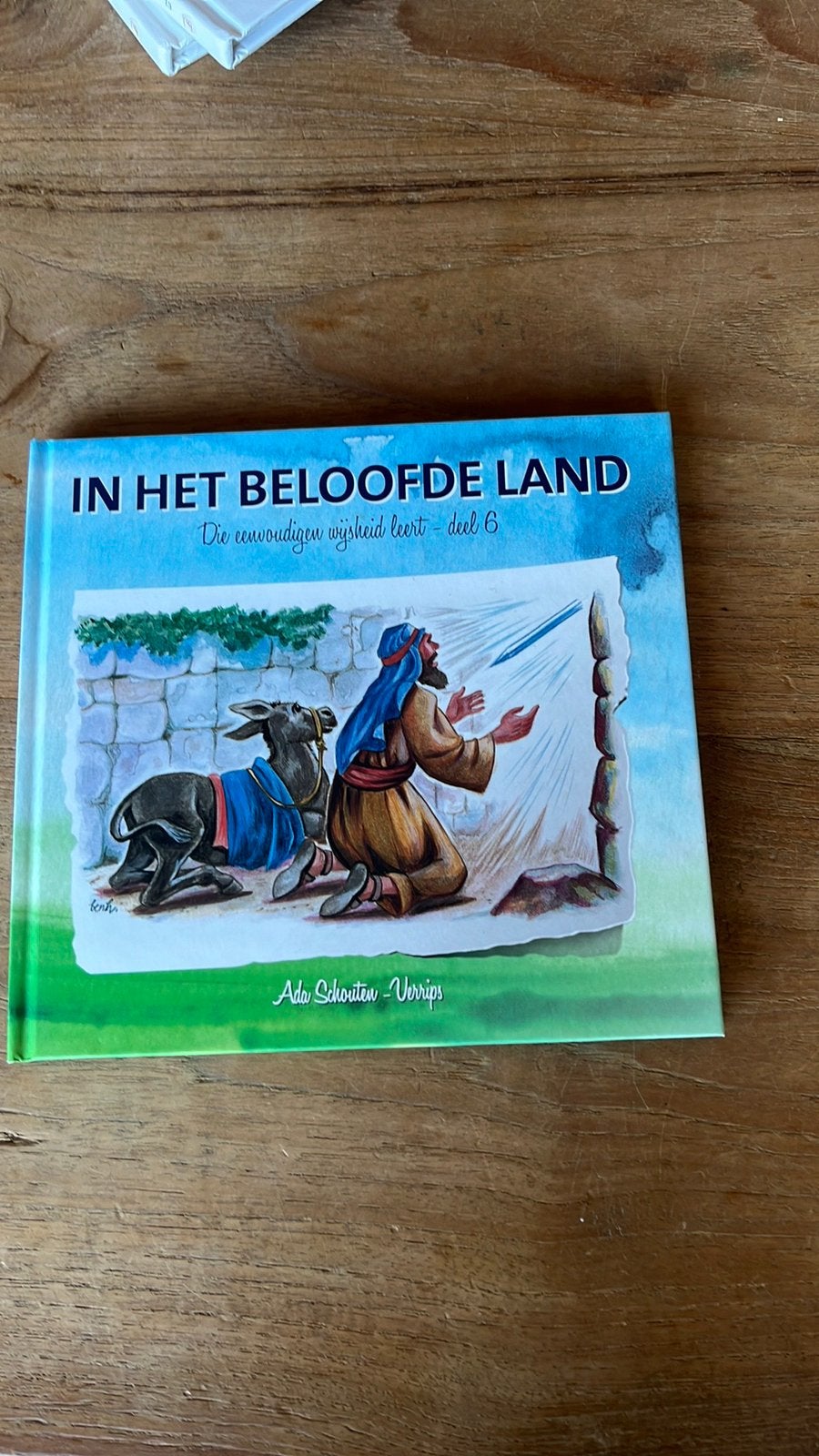 In het beloofde land, Ophalen of Verzenden, Nieuw