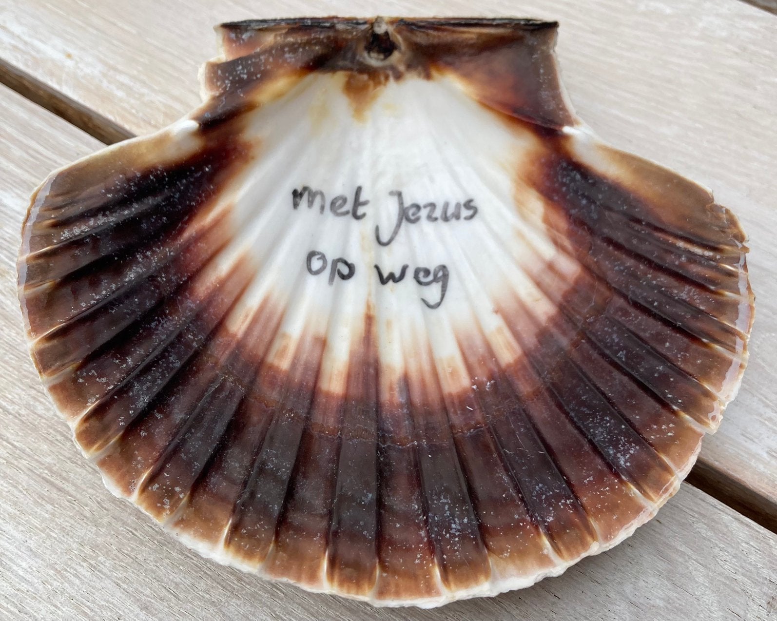 Sint Jacobsschelp Santiago de Compostela met Jezus op weg, Verzenden