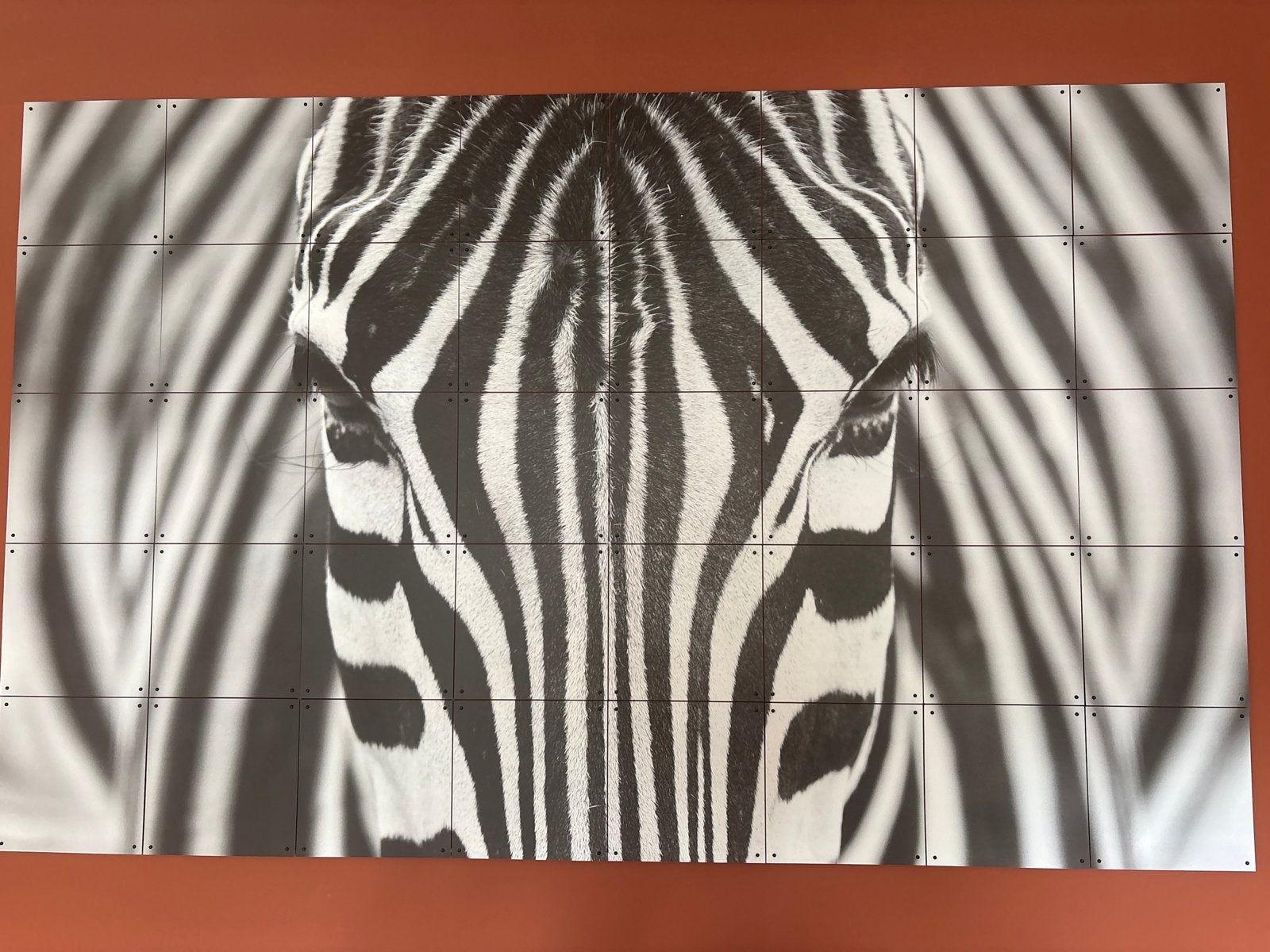 Wanddecoratie Zebra Hoofd - Zwart-wit iXXi, Ophalen, Zwart, Zo goed als nieuw, Wandbord of Wandpaneel