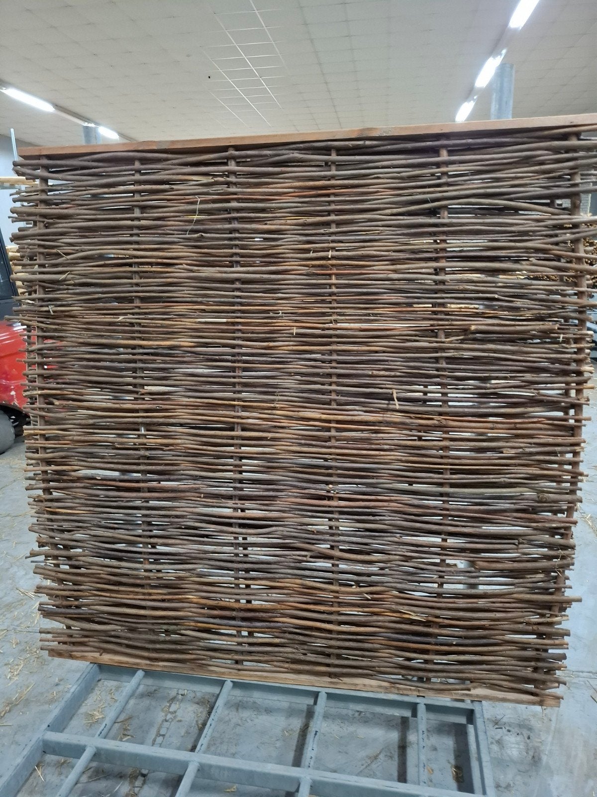 Wilgenscherm 180x180cm, Ophalen, 150 tot 200 cm, Nieuw, 150 tot 200 cm