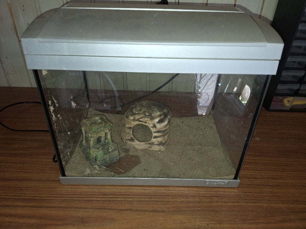 Klein aquarium, Ophalen, Gebruikt, Overige merken, Inclusief deksel