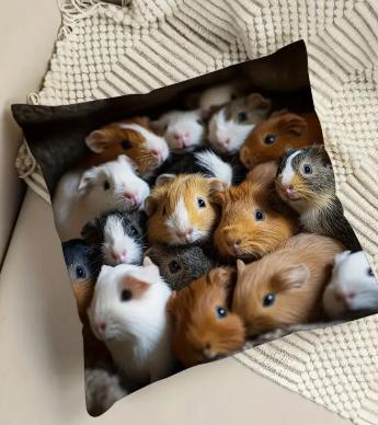 Cavia kussenhoes(overtrek) 45-45 cm, Verzenden, Nieuw, Vierkant