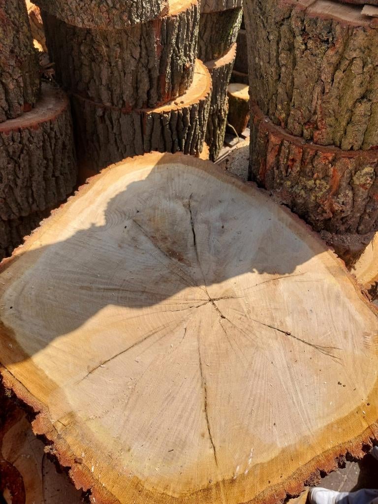 Mooie eikenhouten boomschijf doorsnede 85cm, Ophalen, 50 tot 100 cm, Nieuw, 50 tot 100 cm
