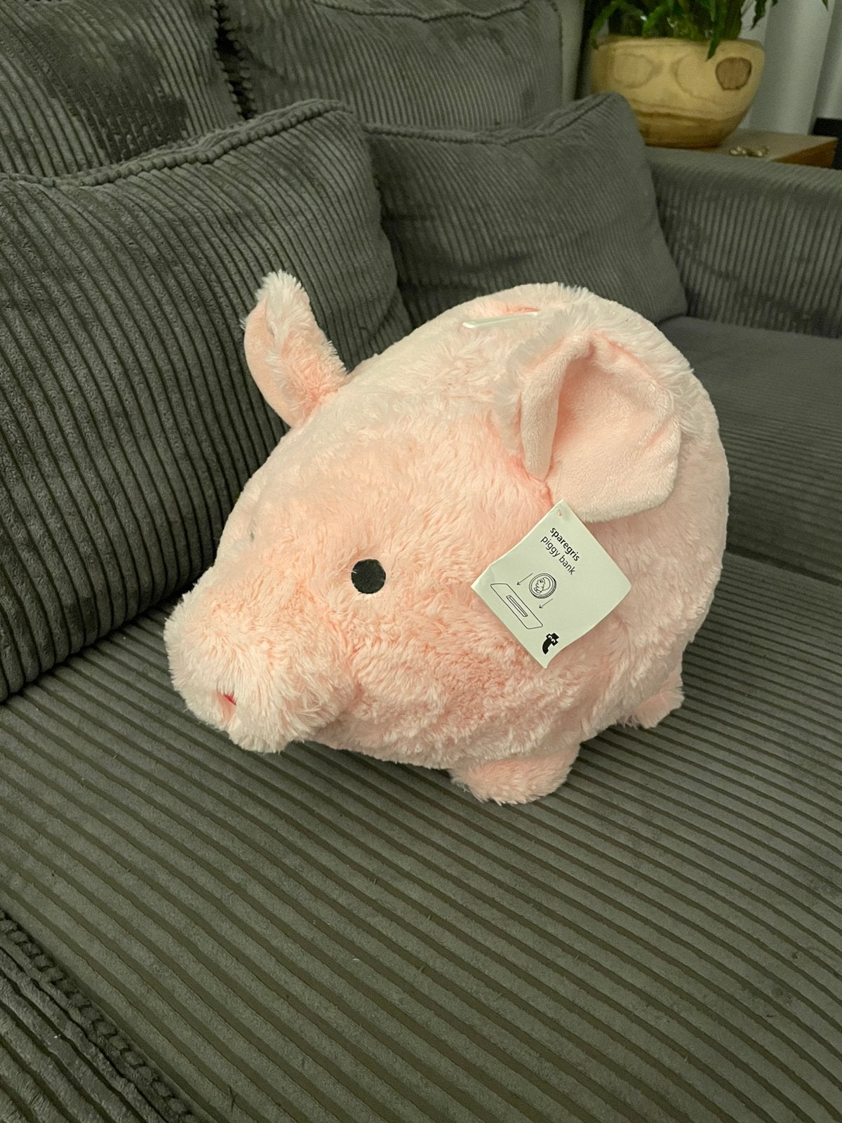 Heel groot roze knuffel spaarvarken spaarpot varken, Ophalen of Verzenden, Overige materialen, Dier